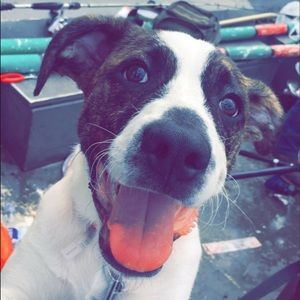 Meet your Posher, Tyler